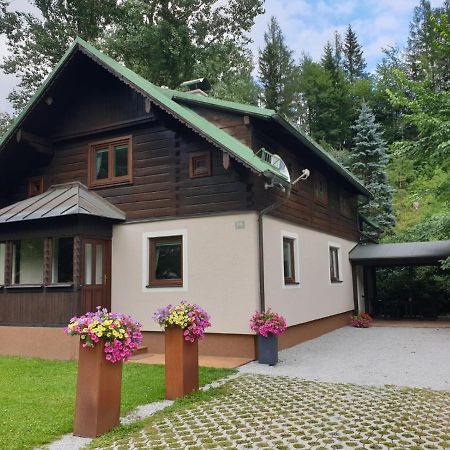 Vila Freeride-Living Annaberg im Lammertal Exteriér fotografie